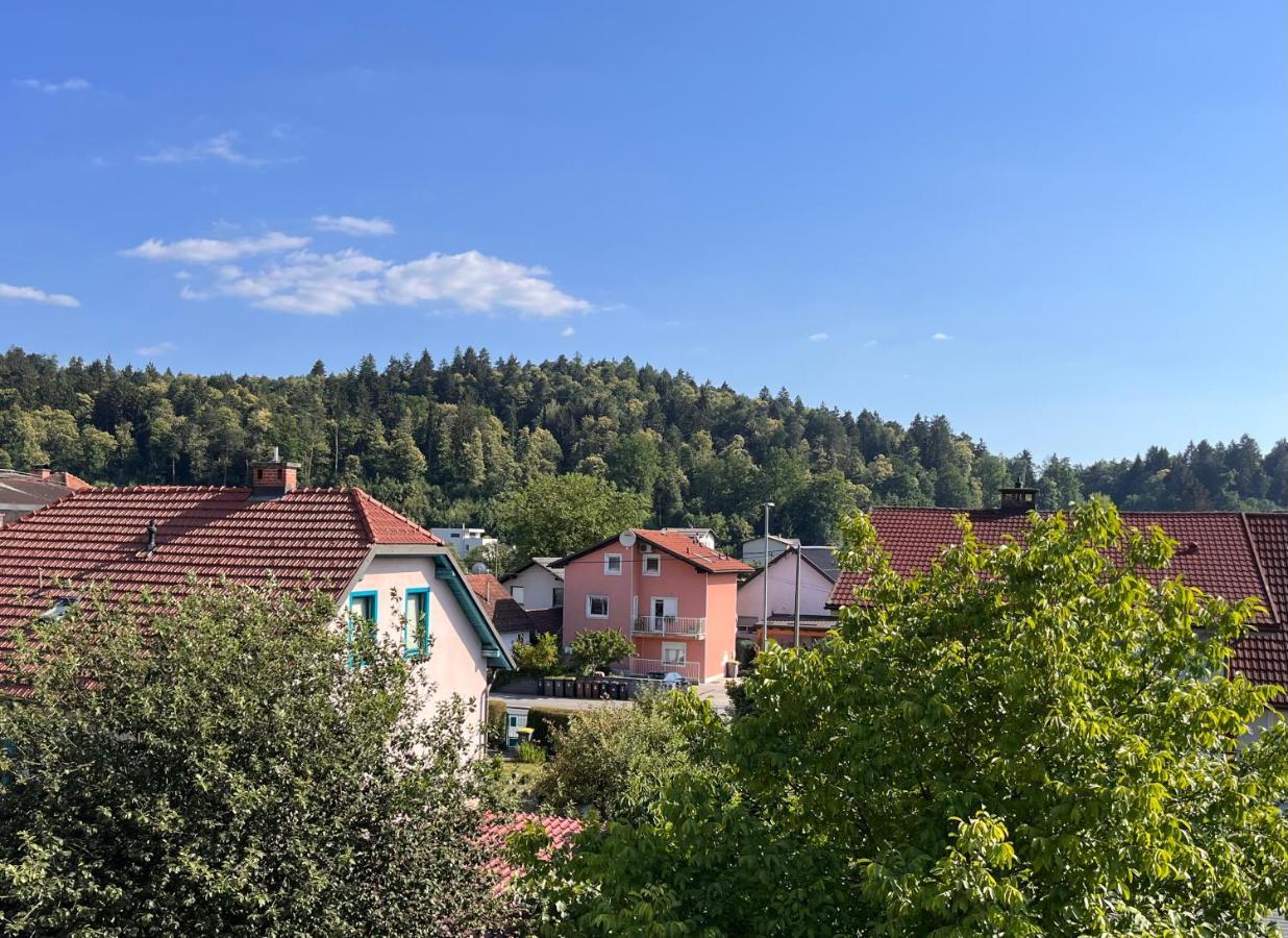 Apartment Malina - Free Private Parking Lublana Zewnętrze zdjęcie